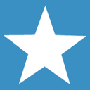 BrightStar Senior Living franchise logo